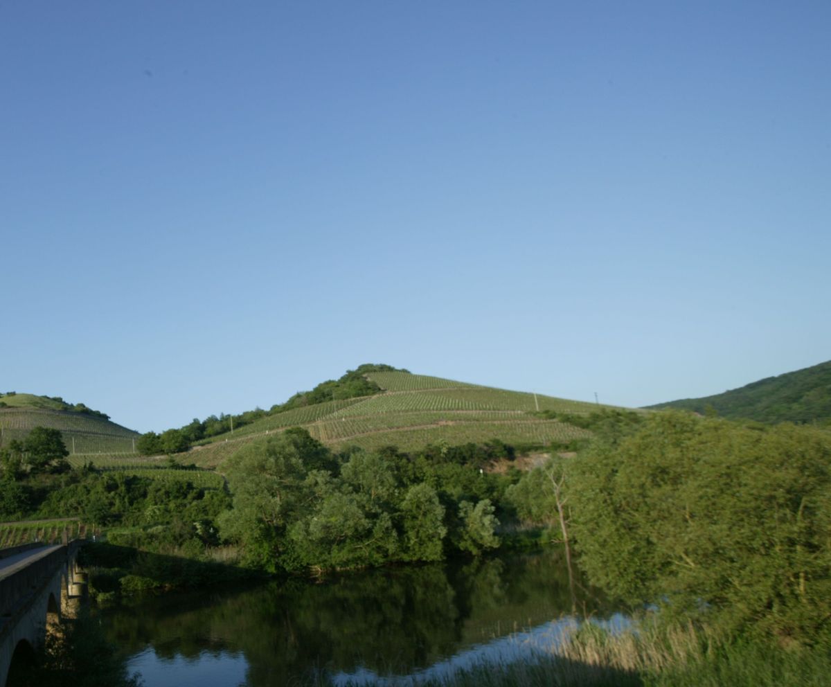 Dönnhoff