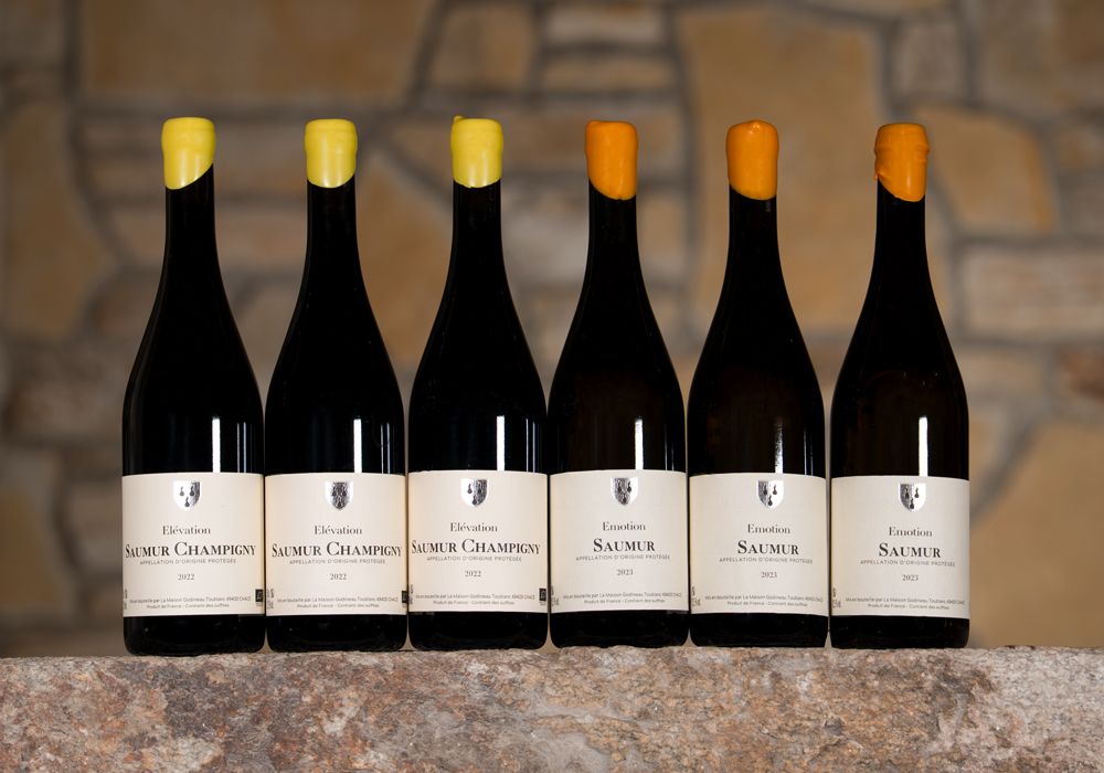 Maison Godineau Toublanc - Elevation Saumur Champigny + Emotion Saumur Blanc 4,5 L "Kennenlern-Paket"