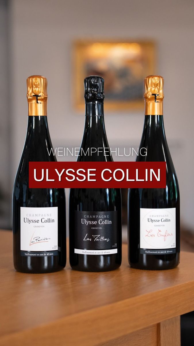 Ulysse Collin. Ein Champagner mit ganz eigener Handschrift. 🥂
Seit 2003 führt Olivier Collin das traditionsreiche Haus in Congy und erzeugt Champagner, die durch ihre Tiefe, Eleganz und fast burgundische Stilistik eine besondere Stellung einnehmen.
Im Video sprechen Michael Unger, Geschäftsführer von Unger Weine, und Stefan Nitsche, Master-Sommelier des 3-Sterne-Restaurants L.A. Jordan, darüber, was die Champagner von Ulysse Collin so besonders macht.
Im Mittelpunkt stehen Les Perrières und Les Enfers, zwei Blanc de Blancs aus Chardonnay, sowie Les Maillons, ein Blanc de Noirs aus 100 % Pinot Noir. Die langen Reifezeiten auf der Hefe (teilweise bis zu 96 Monate)
verleihen den Champagnern zusätzliche Tiefe, Komplexität und eine besonders feine Perlage.
Unger Weine ist deutscher Exklusivimporteur von Ulysse Collin, während die Champagner unter anderem im 3-Sterne-Restaurant L.A. Jordan auf der Weinkarte zu finden sind.
Spitzenchampagner und Spitzenküche. Eine Verbindung, die bestens zusammenpasst.
@champagneulyssecollin @la.jordan.restaurant @d.schimkowitsch @snitzsche86
#UlysseCollin #LAJordan #UngerWeine #Champagne #FineDining