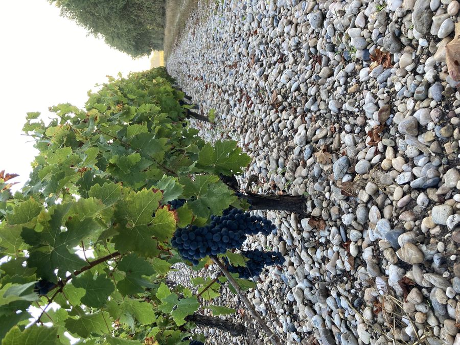 Chateau Branas Grand Poujeaux