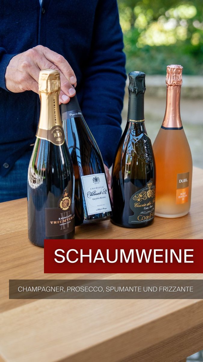 🥂Champagner, Prosecco, Spumante oder Frizzante.
Auf der Weinkarte klingt vieles zunächst ähnlich. Doch hinter den Bezeichnungen stecken klare Unterschiede.
Herkunft, Herstellung und vor allem der Druck in der Flasche entscheiden darüber, um welche Art von Schaumwein es sich handelt. Warum Prosecco zu mindestens 85 % aus Glera bestehen muss, was Spumante und Frizzante unterscheidet und welche Rolle die deutsche Schaumweinsteuer spielt, erklärt Michael Unger im Video.
Welcher Schaumwein kommt bei Ihnen am liebsten ins Glas? 🥂
#schaumwein #champagner #prosecco #spumante #schaumwein
