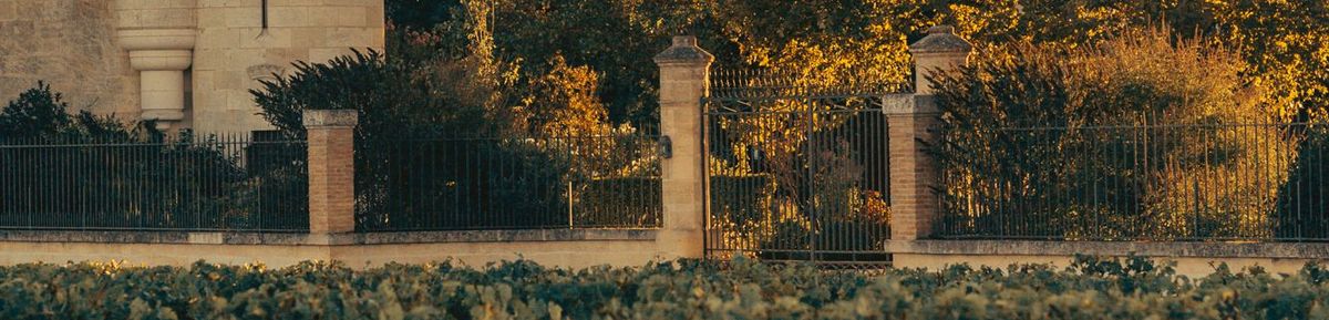 Eingang zu Château Rauzan-Ségla im Vordergrund die Weinrebenreihen, im Hintergrund das Tür und ein Metallzaun.