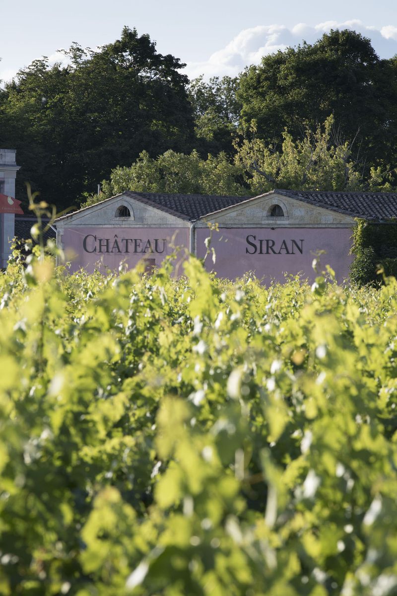 Zwei Häuser mit rosa Wand und Schriftzug von Chateau Siran stehen hinter Weinreben