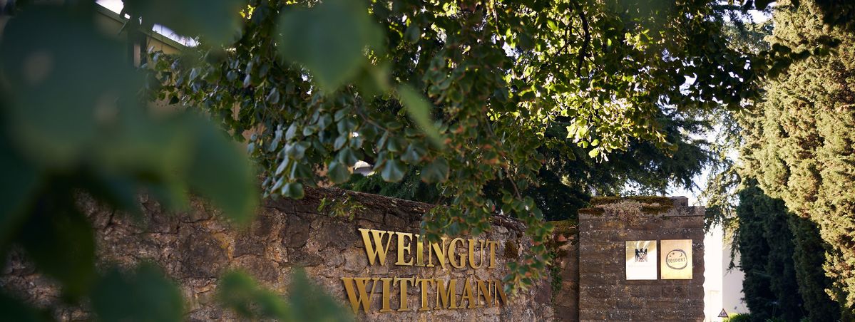 Einfahrt zu Weingut Wittmann mit Schriftzug auf Steinmauer mit Bäumen im Vordergrund