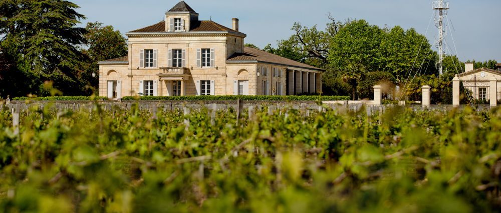 Blick von den Weinbergen auf die Gebäude von Chateau Montrose.