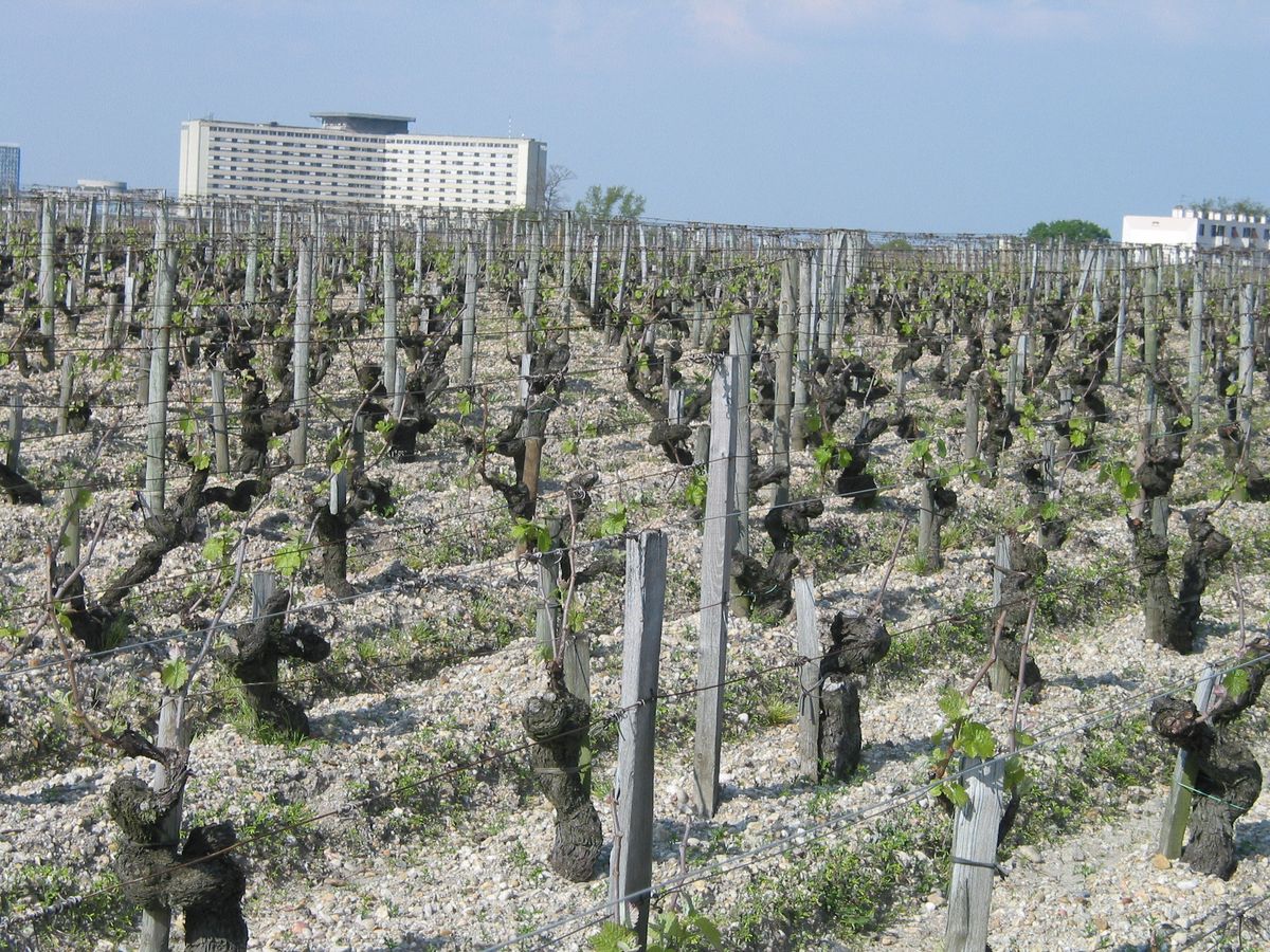 Chateau Haut Brion