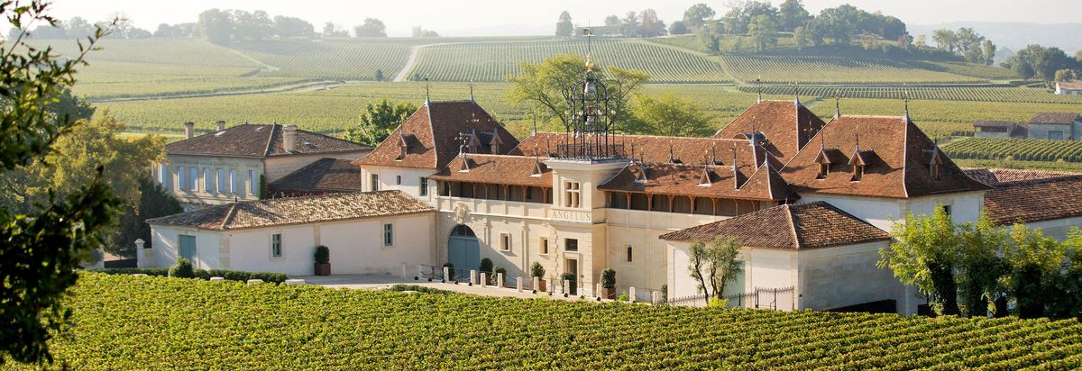 Blick auf die Gebäude von Chateau Angelus umgeben von Weinbergen
