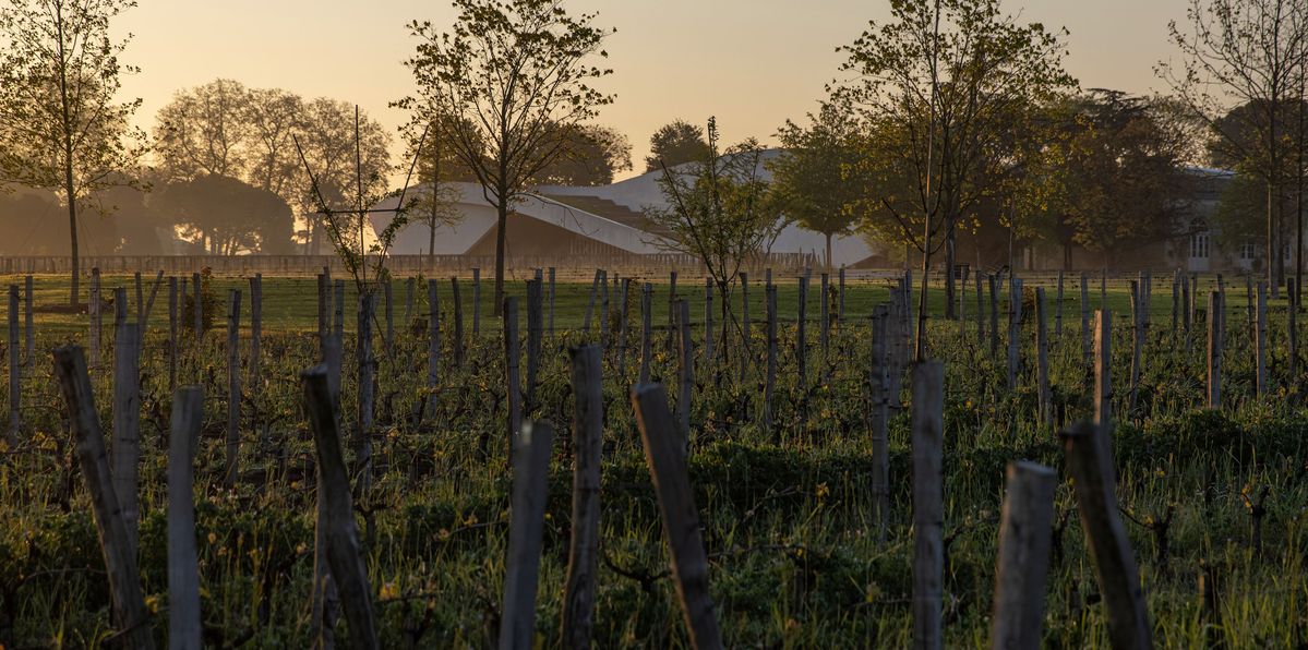 Außenansicht Gebäude von Château Cheval Blanc bei Morgendämmerung