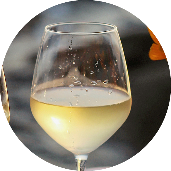 Glas Rotwein im Fasskeller