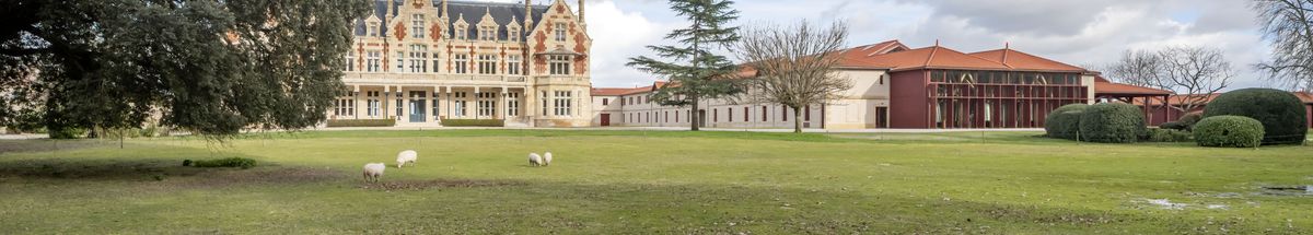 Außenaufnahme des Anwesens von Château Cantenac Brown mit dem neuen Weinkeller.