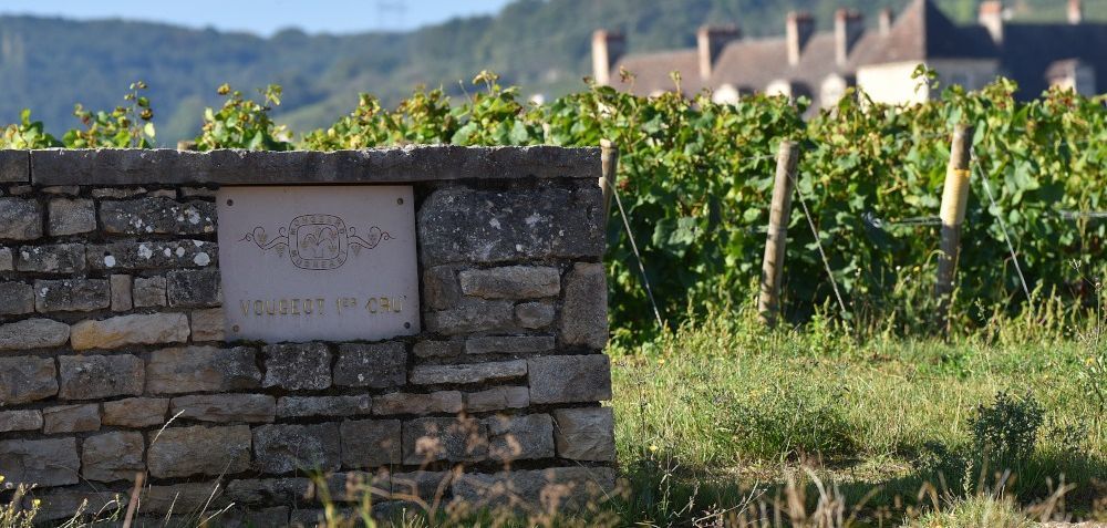 Steinmauer mit Steinschild von Chateau Mongeard Mugneret vor Weinrebenlandschaft