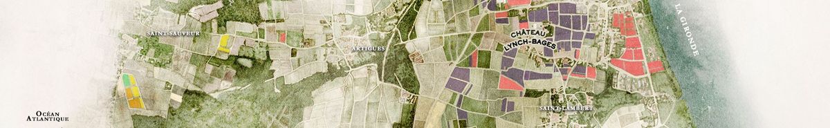 Karten von den Weinbergen von Lynch Bages