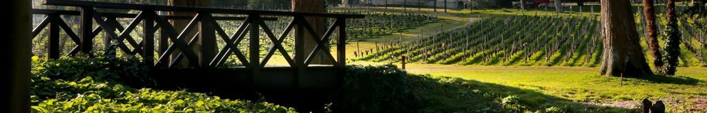 Weinberge und Holzbrücke vor Château Les Carmes Haut-Brion
