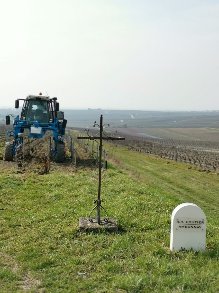 Weite Weinberglandschaft unter grauem Himmel mit blauem Traktor der über junge Weinreben von Chateau Coutier fährt
