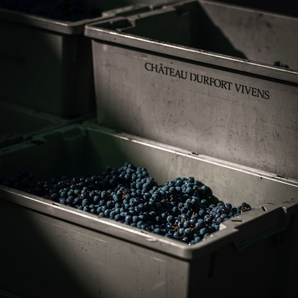 Chateau Durfort Vivens