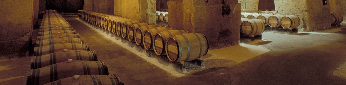 Weinfässer aufgereiht im Gewölbekeller von Château Ausone bei gedämpften Licht.