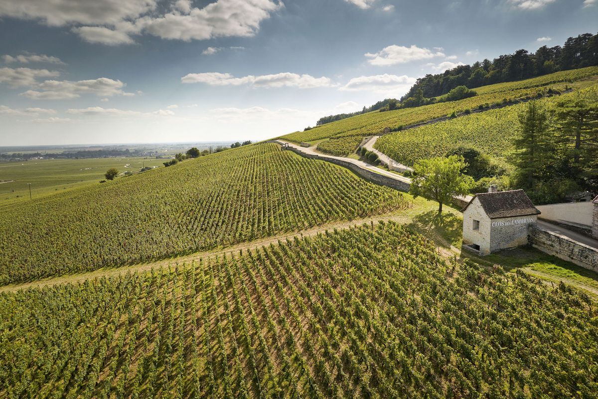Weite Weinberglandschaft mit kleinem Haus von Domaine des Lambrays unter blauem Himmel