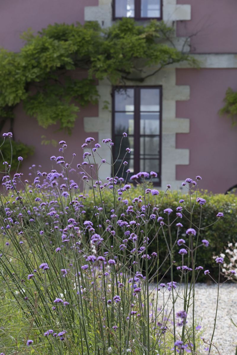 Rosa Gebäude von Chateau Siran mit Effeu darauf wachsend und lila Blumen im Vordergrund