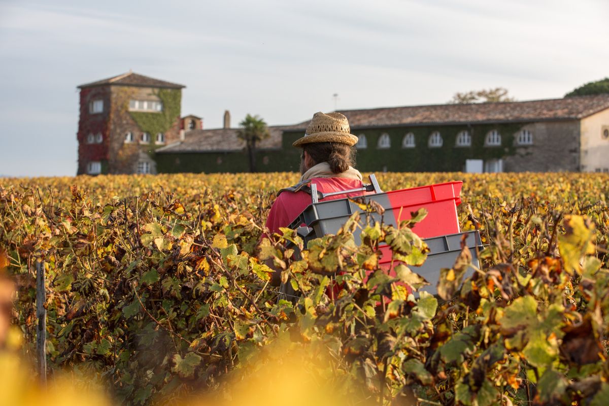 Chateau Rieussec