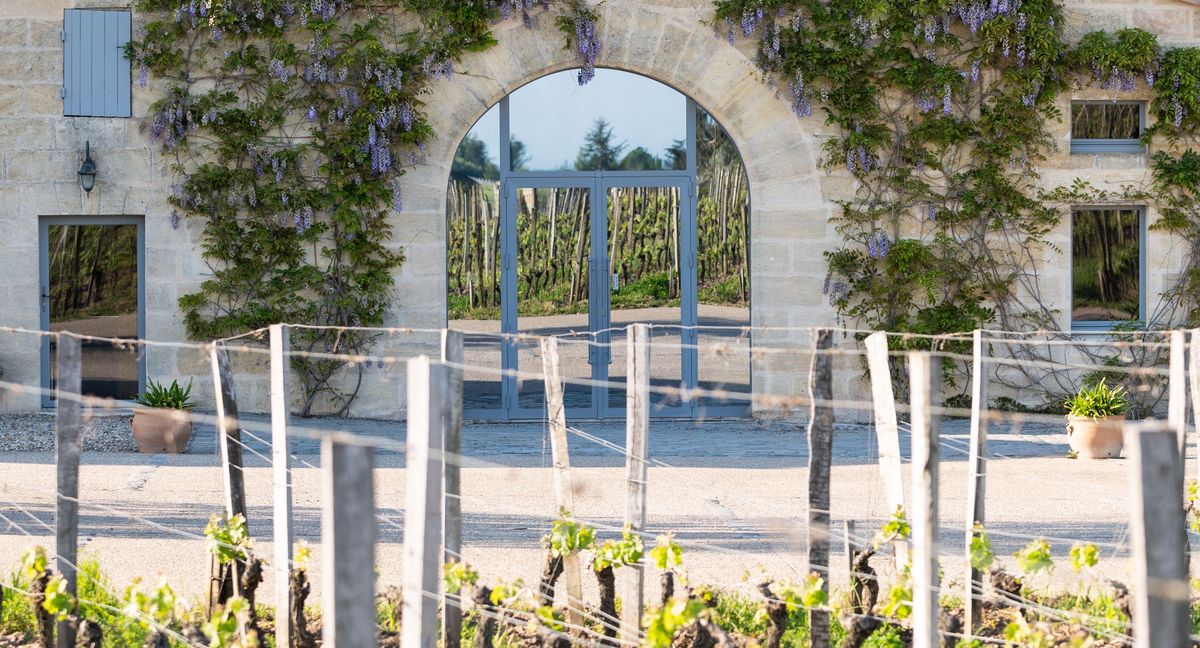 Weinrebenreihen auf Château La Conseillante und im Hintergrund ein Steingebäude, welches mit Pflanzen bewachsen ist und in der Mitte eine Große Flügeltüre, in der sich die Weinreben spiegeln.