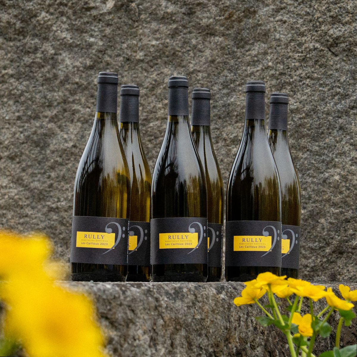 Domaine Les Champs De L`Abbaye - Rully Blanc Les Cailloux 2023 0,75 L