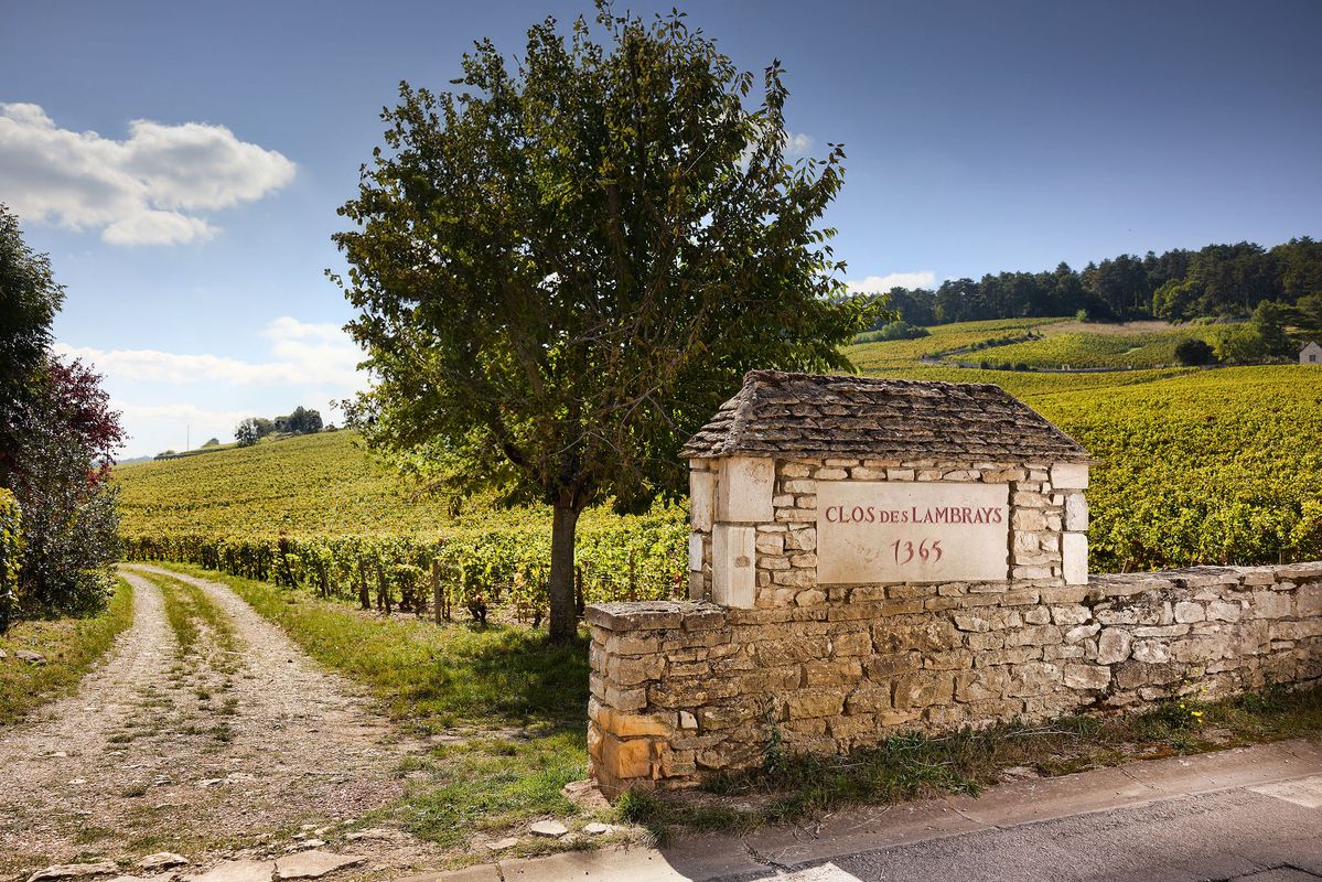 Steinmauer mit Steinschild von Domaine des Lambrays vor Weinbergelandschaft und Feldstraße