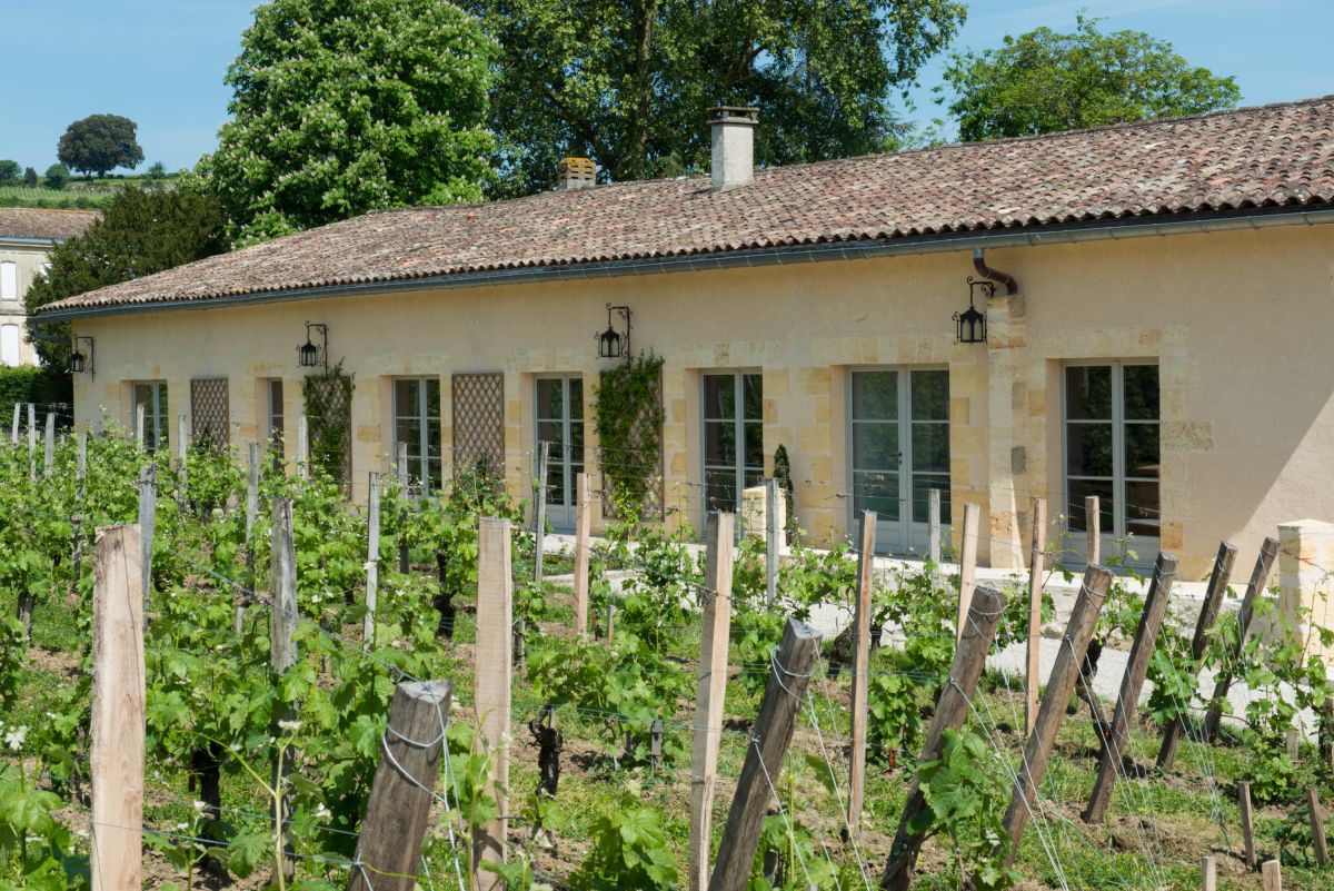 Kleines Haus mit gelber Hauswand und grünen Fensterläden hinter Weinreben von Chateau la Gaffeliere