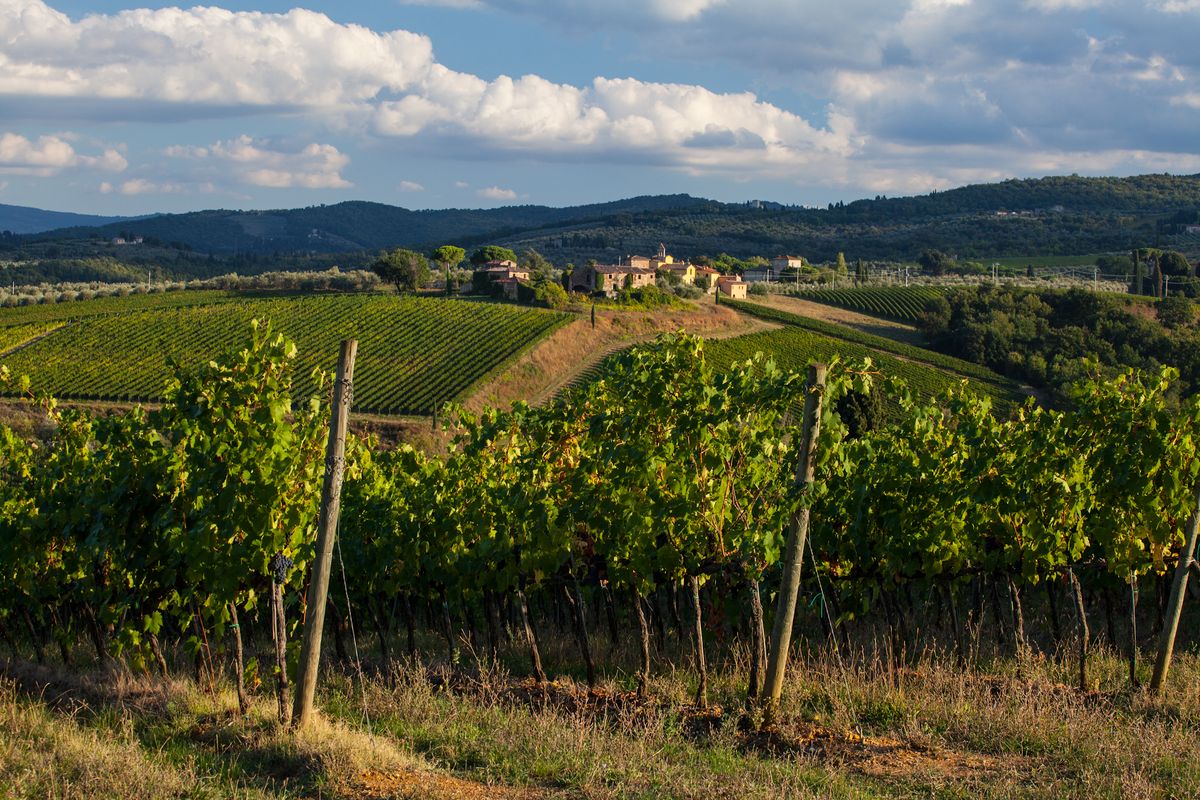 Antinori