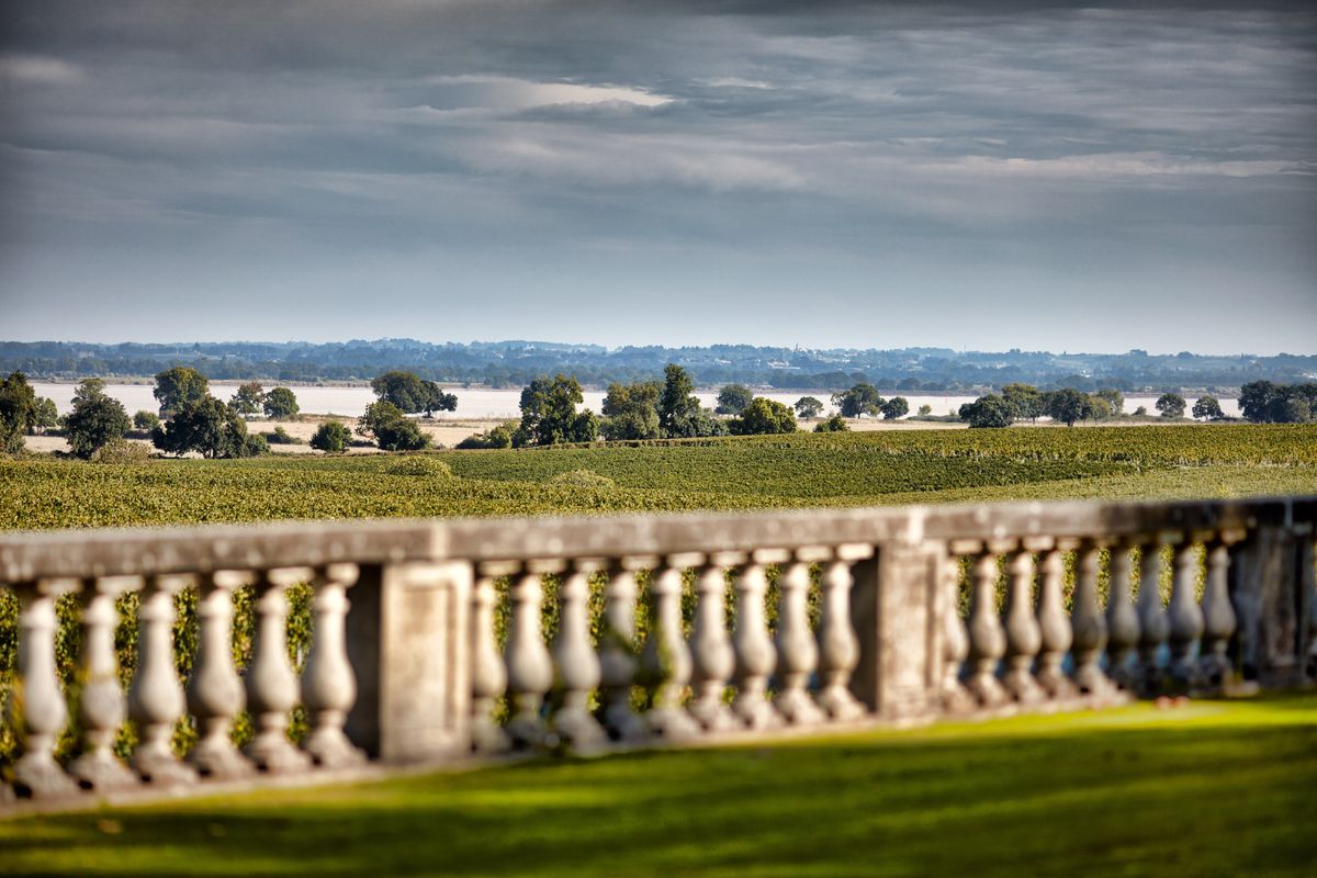 Weinberge mit Zypressenallee und See in hügeliger Landschaft