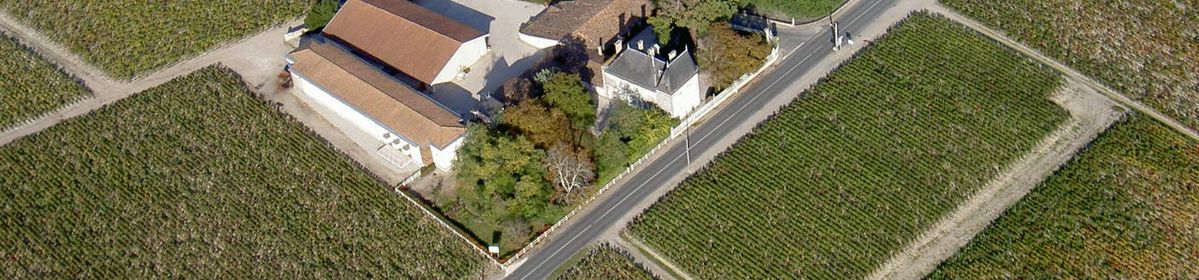 Das Anwesen von Château Cos Labory aus der Vogelperspektive und rundherum die Weinberge.
