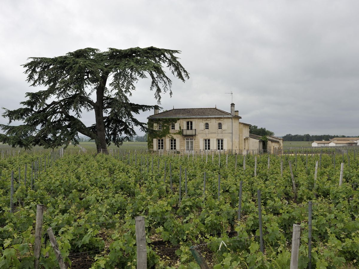 Bild von Chateau Les Cruzelles