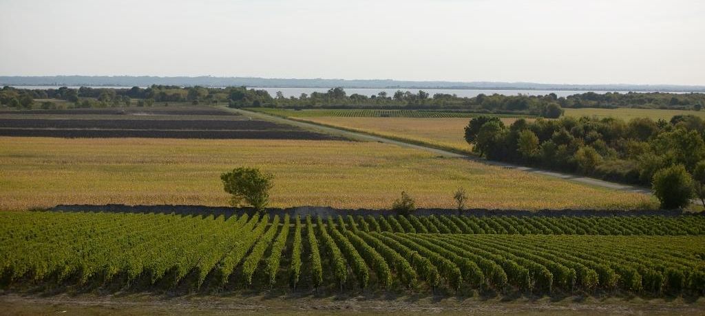 Weite Landschaft unter grauem Himmel
