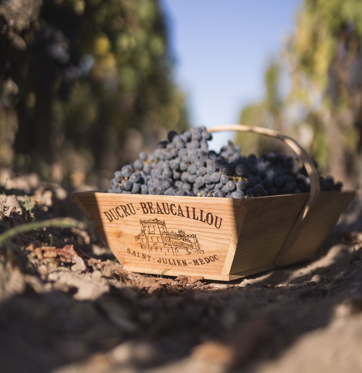 Chateau Ducru Beaucaillou