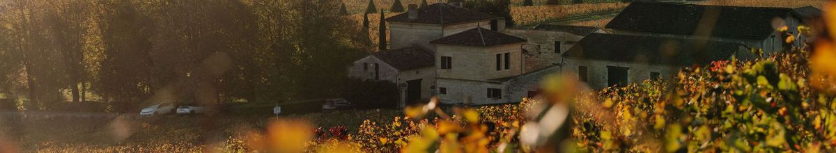 Blick vom Weinberg auf das Château Larcis-Ducasse