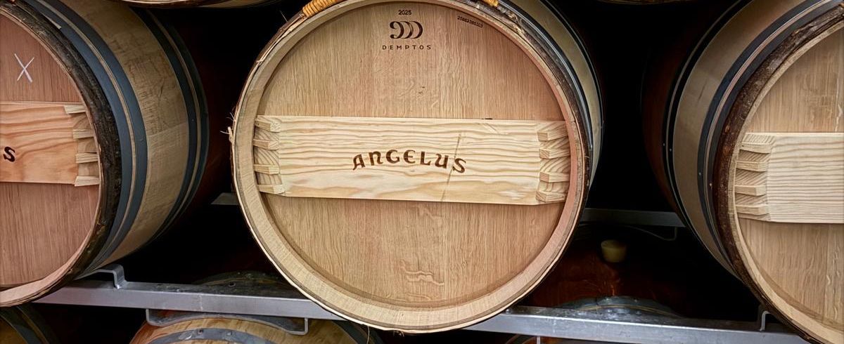 In Reihe liegende Holzweinfässern von Chateau Angelus