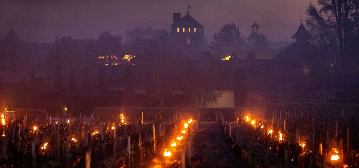 Weinreben in der Nacht mit Nebel und Feuer und Chateau Smith Haut Lafitte im Hintergrund