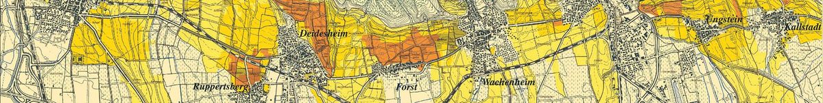 Gebietskarte auf der die Weinberge des Weinguts Dr. Bürklin-Wolf gelb und orange eingefärbt sind.