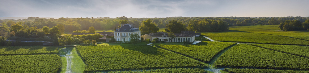 Weinberge mit Zypressenallee und See in hügeliger Landschaft