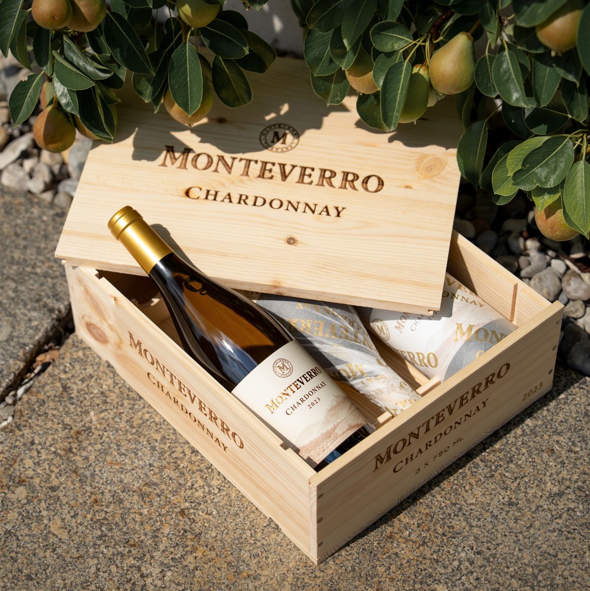 Monteverro - Chardonnay 2023