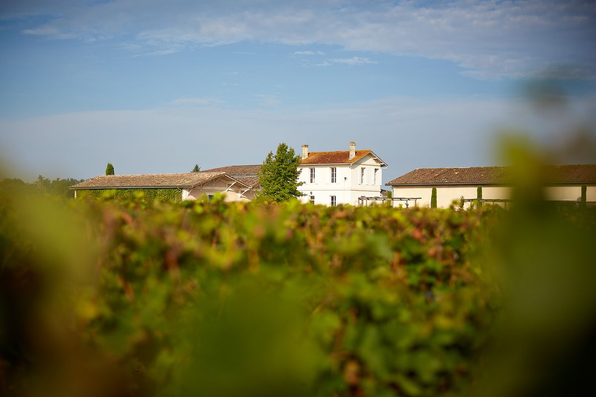 Chateau Chauvin