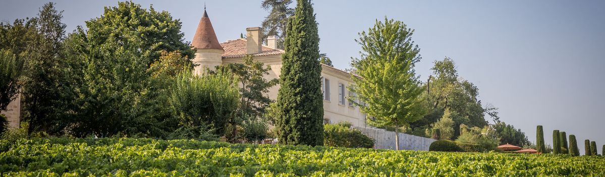 Blick durch die Weinreben auf Chateau Troplong Mondot