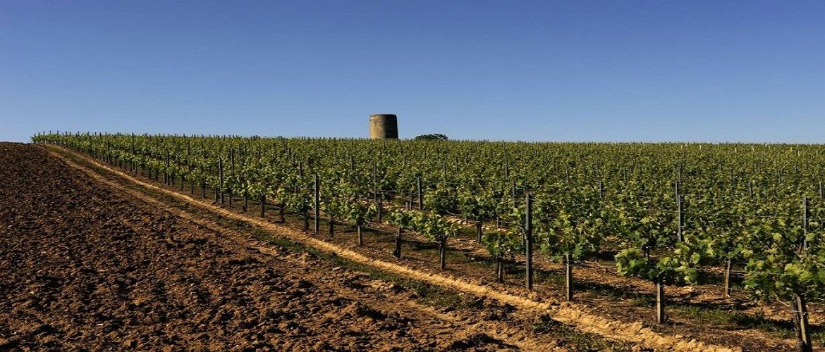 Bild von Chateau Montlandrie