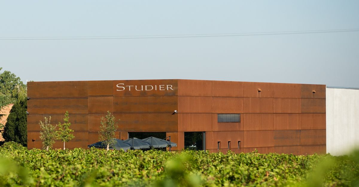 Gebäude von Weingut Studier mit Weinreben und blauem Himmel