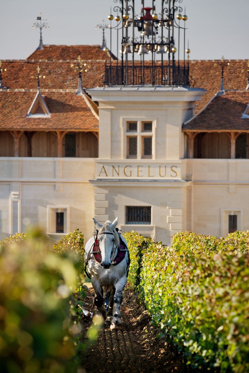 Bild von Chateau Angelus