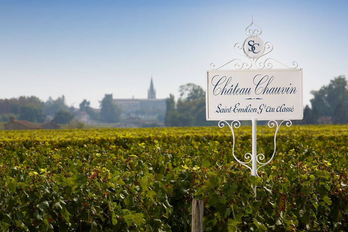 Weißes Blechschild von Chateau Chauvin in der Mitte von Weinreben und unter blauem Himmel