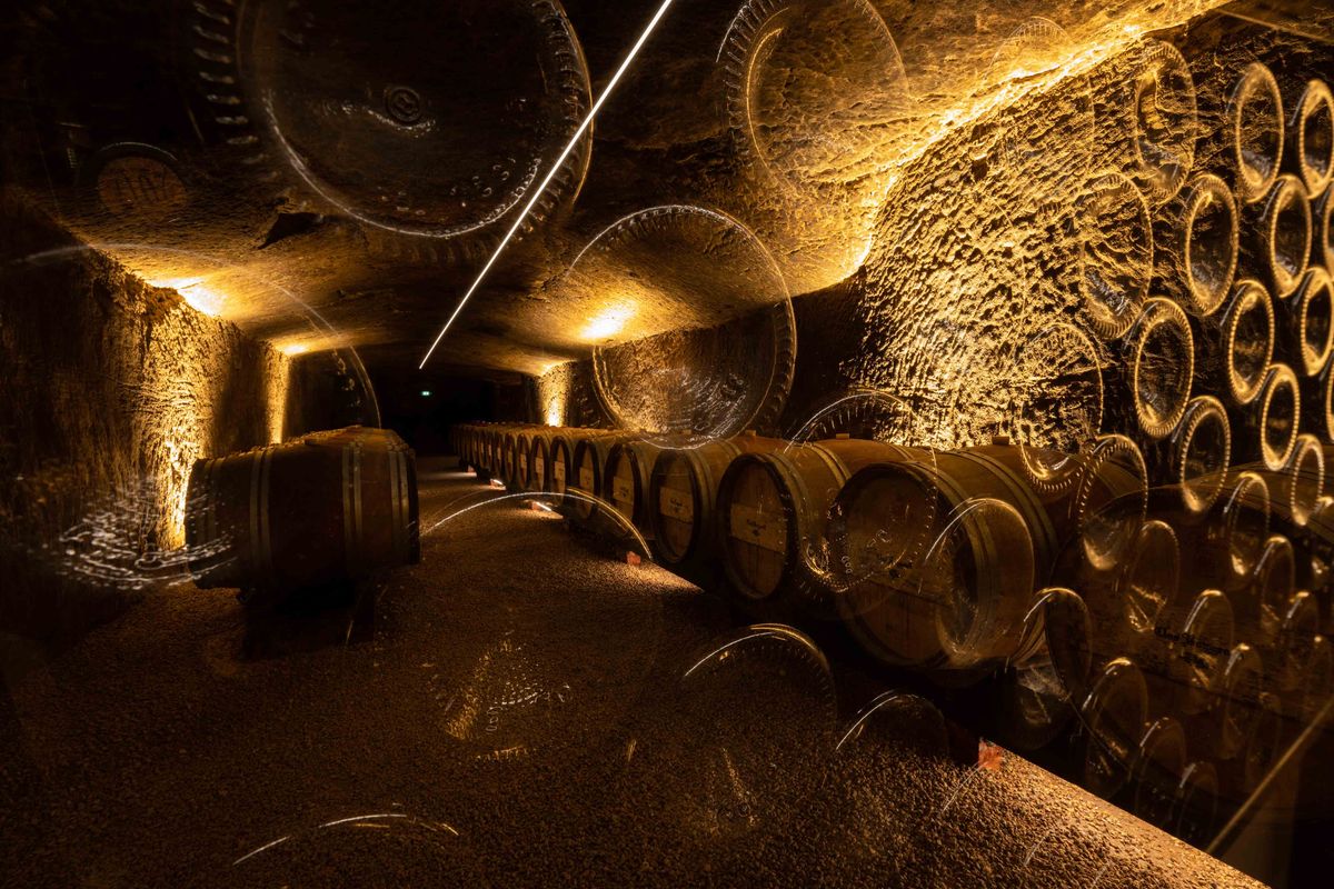 Holzweinfässer von Chateau Clos Rougeard im dunklen Steinweinkeller