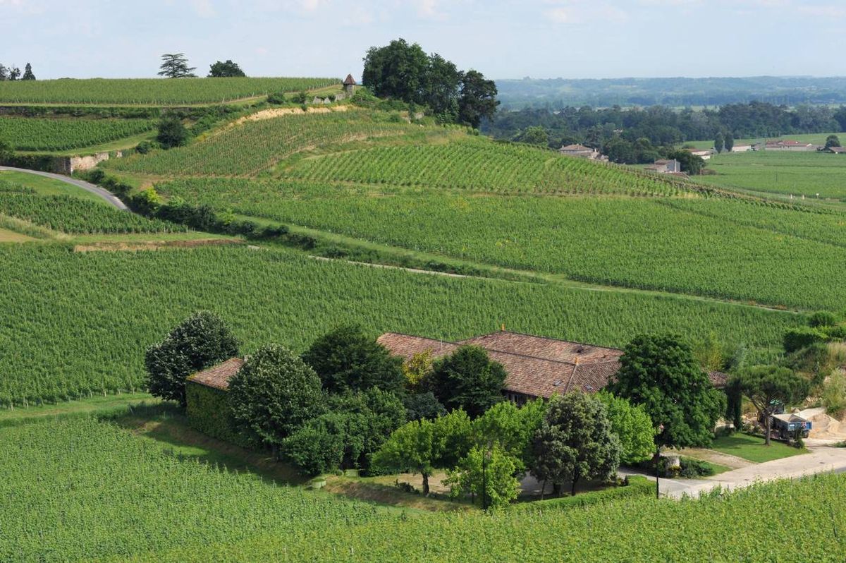 Bild von Chateau Moulin Saint Georges