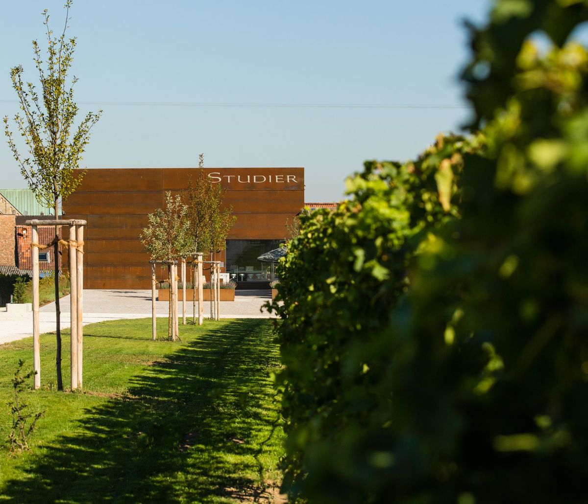Weingut Studier