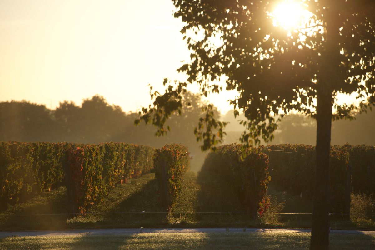 Chateau Giscours