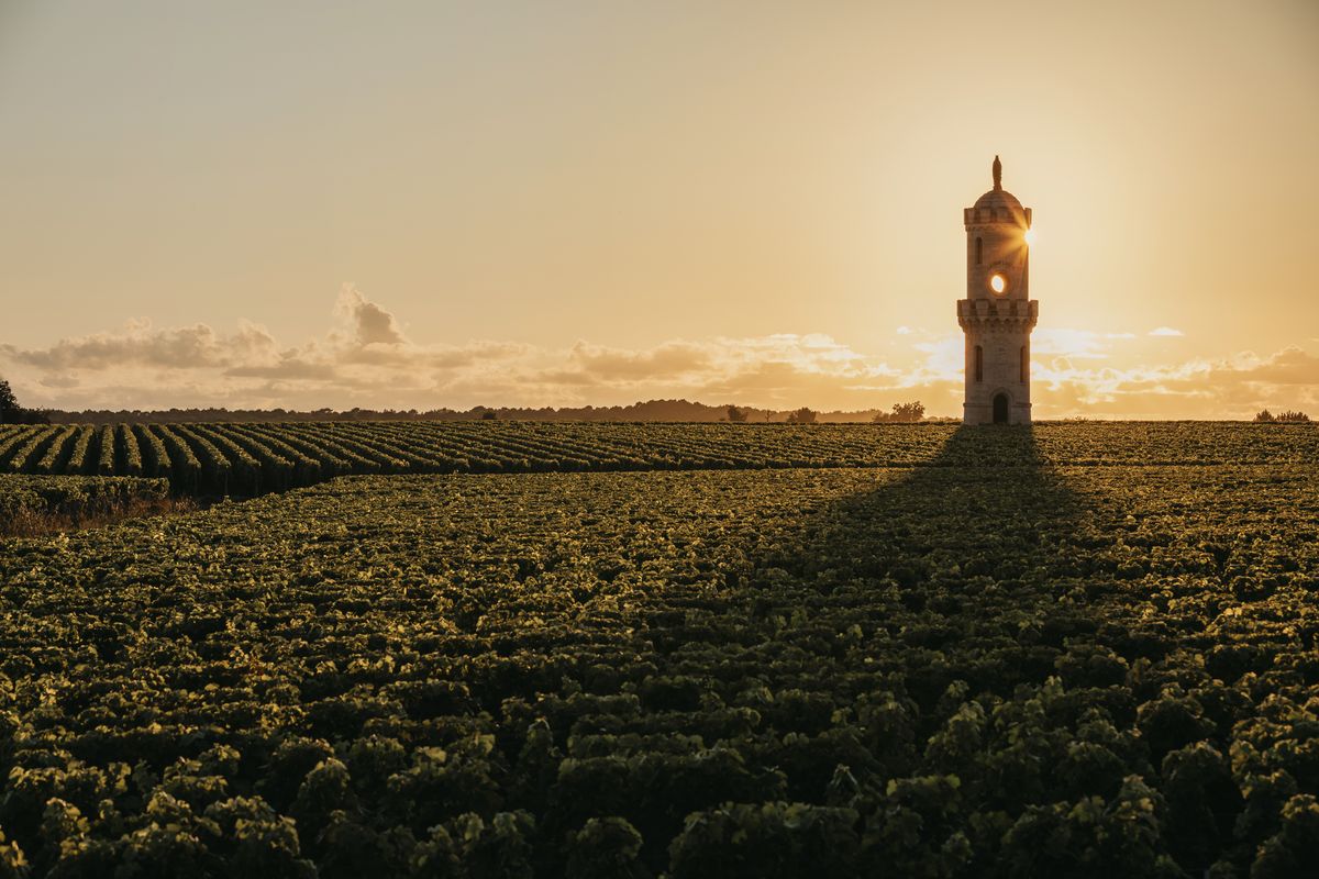 Chateau Haut Batailley